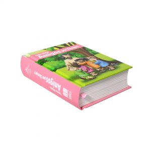 Santa biblia amigos por siempre | Tapa dura