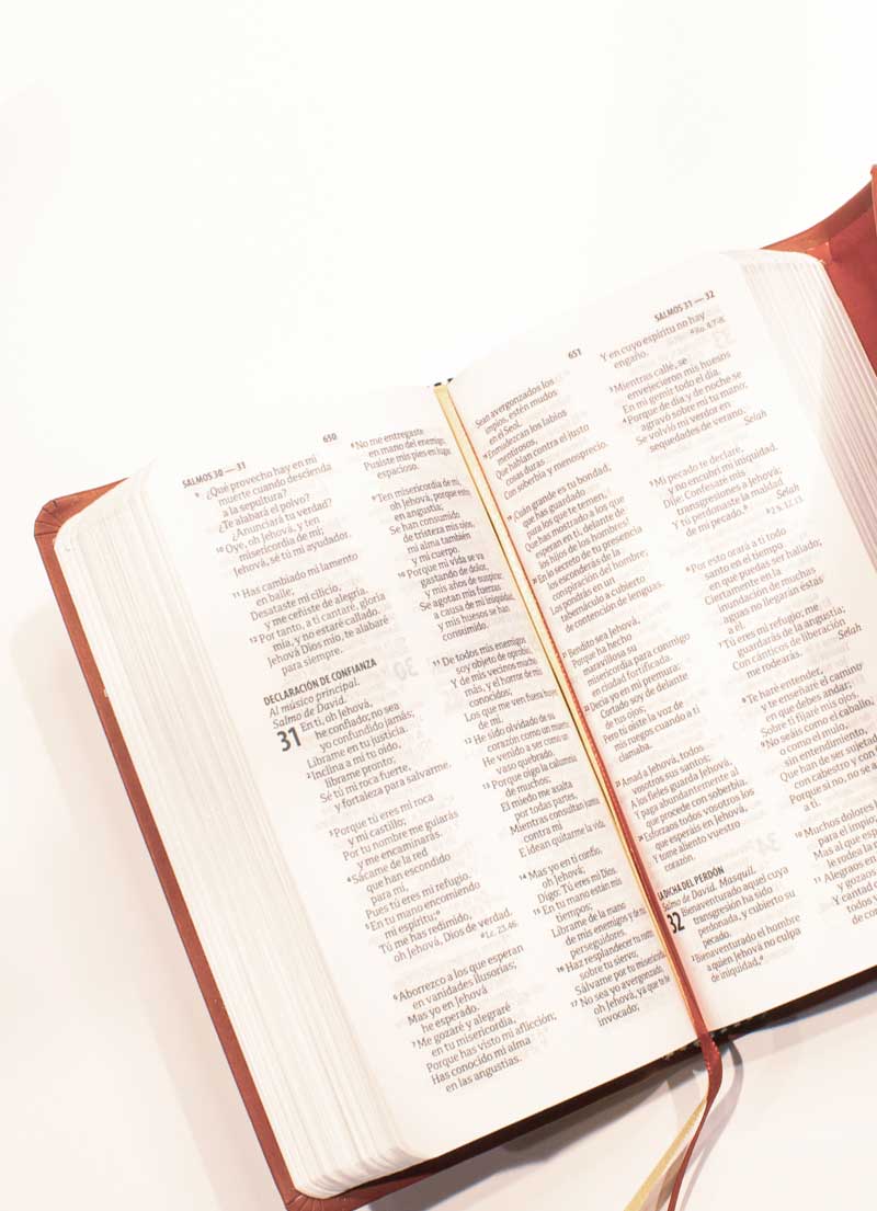 Biblia RVR 1960 Tipo Agenda Imitación Piel Rosa