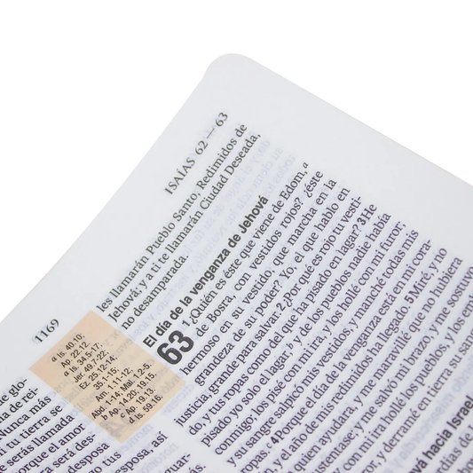 RVR 1960 Biblia de estudio teológico, Tamaño Manual, imitación piel negro con índice