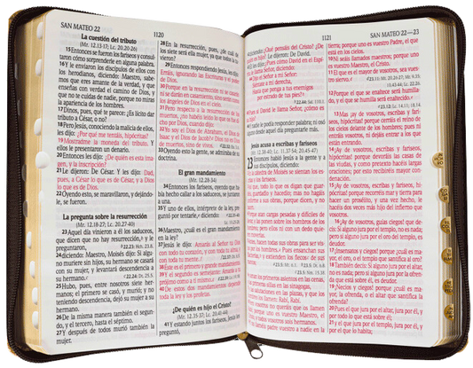 RVR 1960 Imitación Piel León Dorado Letra grande con índice y cierre