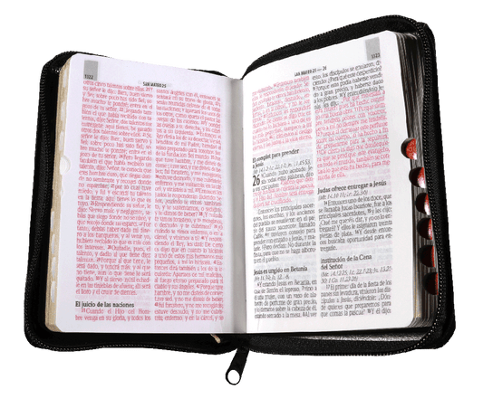 Biblia RVR1960 Negro Letra 9 puntos