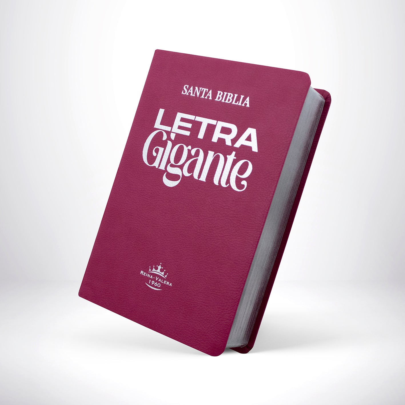 Biblia RVR 1960 Letra Gigante 14 Puntos - Fucsia