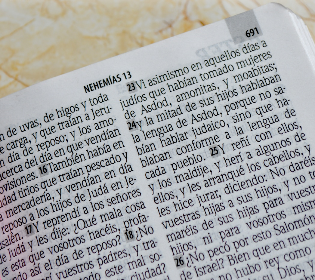 Biblia RVR 1960 Letra Gigante 14 Puntos - Lavanda