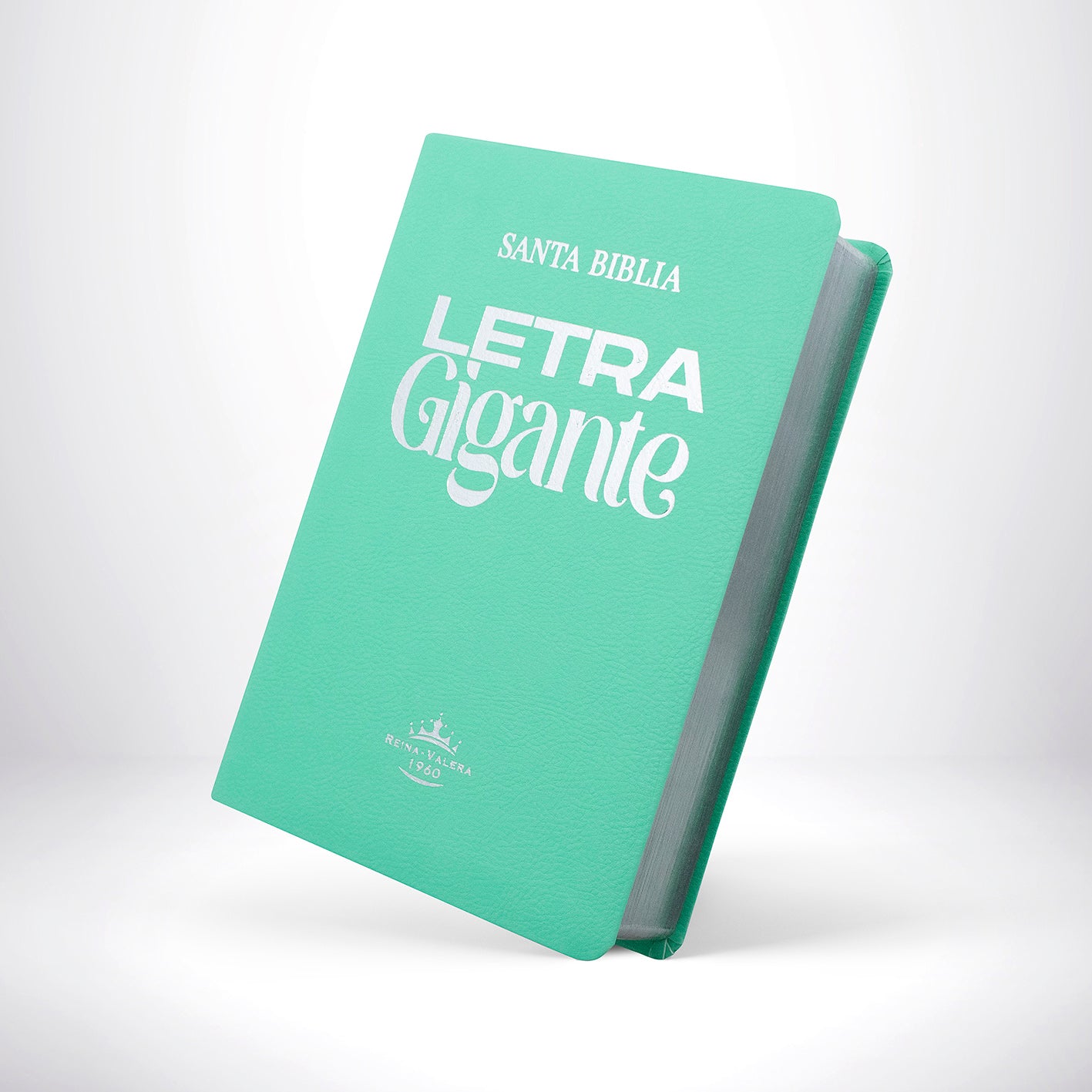 Biblia RVR 1960 Letra Gigante 14 Puntos - Menta