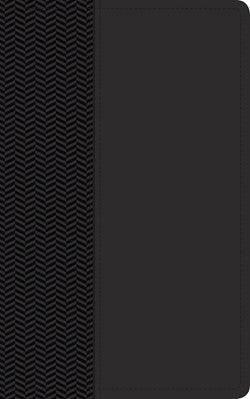 Biblia de estudio del diario vivir NTV, tamaño personal