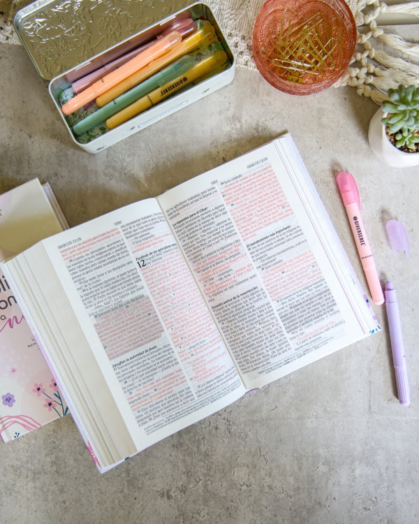 Biblia de Promesas para niñas NTV