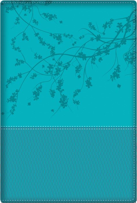 RVR 1960 Biblia de la mujer conforme al corazón de Dios - Aqua