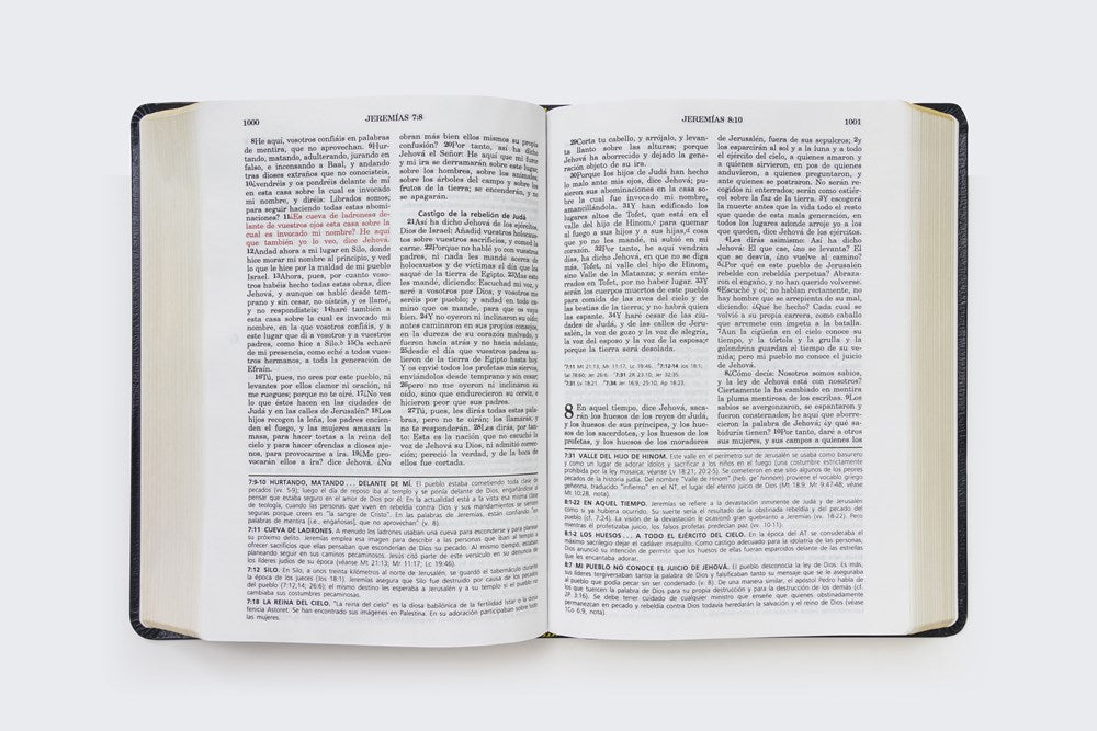 Biblia de estudio de la vida plena Reina Valera 1960, Piel fabricada Negra