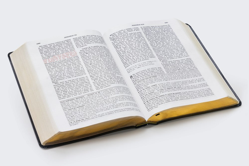Biblia de estudio de la vida plena Reina Valera 1960, Piel fabricada Negra
