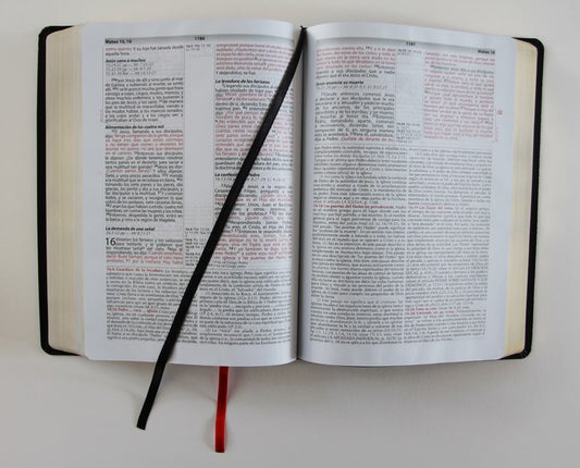 Biblia de Estudio RVR 1960 Vida Plena TD Negro