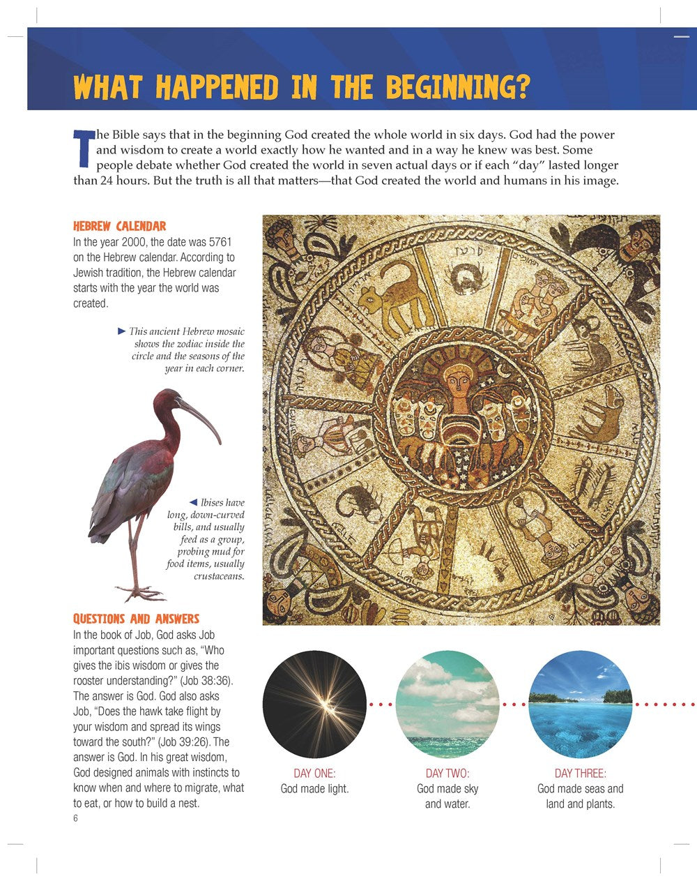 Guía de Exploradores de la Biblia | LIBRO EN ESPAÑOL