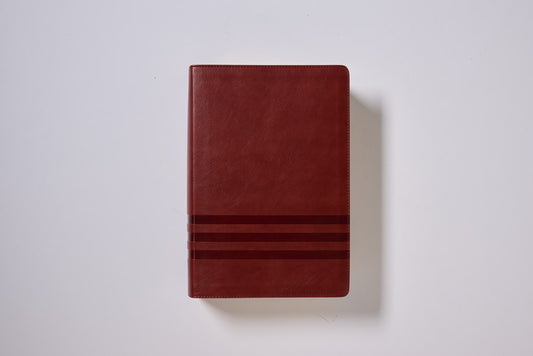 NVI Biblia de Estudio Teología Bíblica, Imitación Piel Café