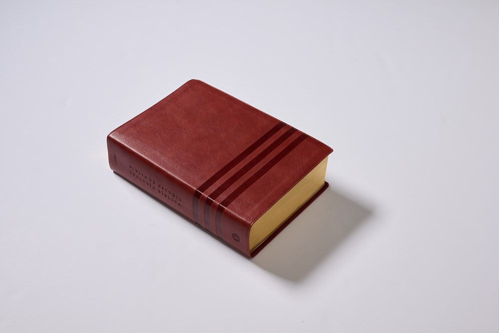 NVI Biblia de Estudio Teología Bíblica, Imitación Piel Café