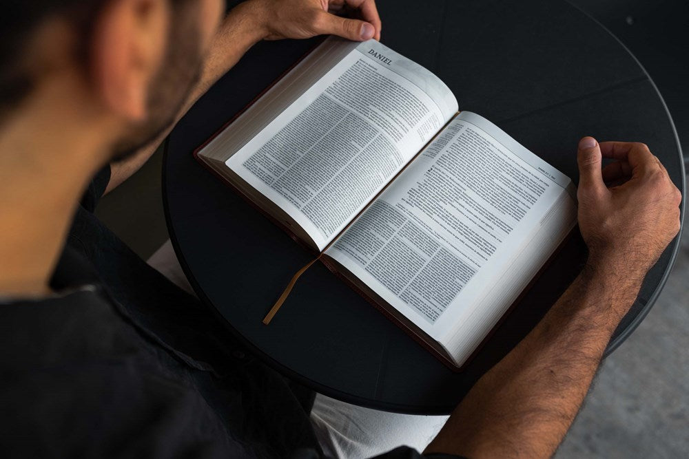 NVI Biblia de Estudio Teología Bíblica, Imitación Piel Café