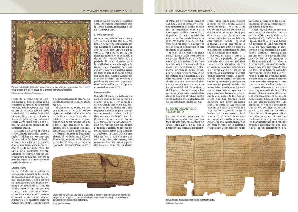 NVI Biblia de Estudio Teología Bíblica, Imitación Piel Café