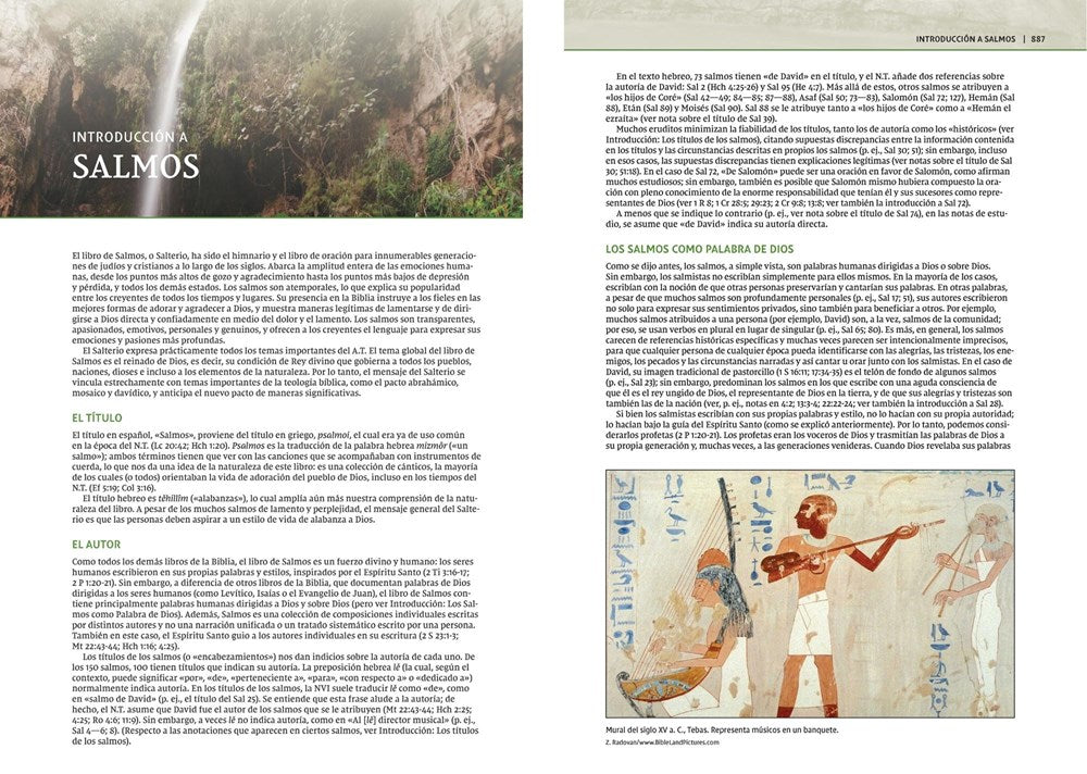 NVI Biblia de Estudio Teología Bíblica, Imitación Piel Café