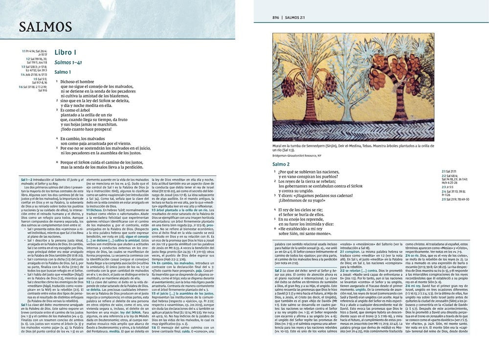 NVI Biblia de Estudio Teología Bíblica, Imitación Piel Café