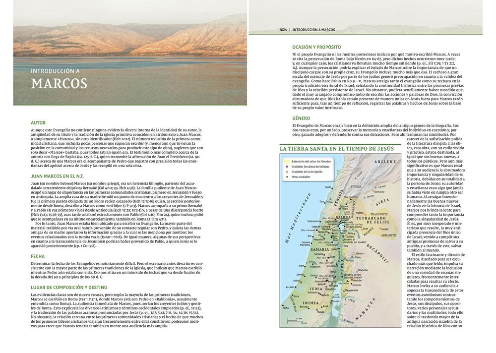 NVI Biblia de Estudio Teología Bíblica, Imitación Piel Café