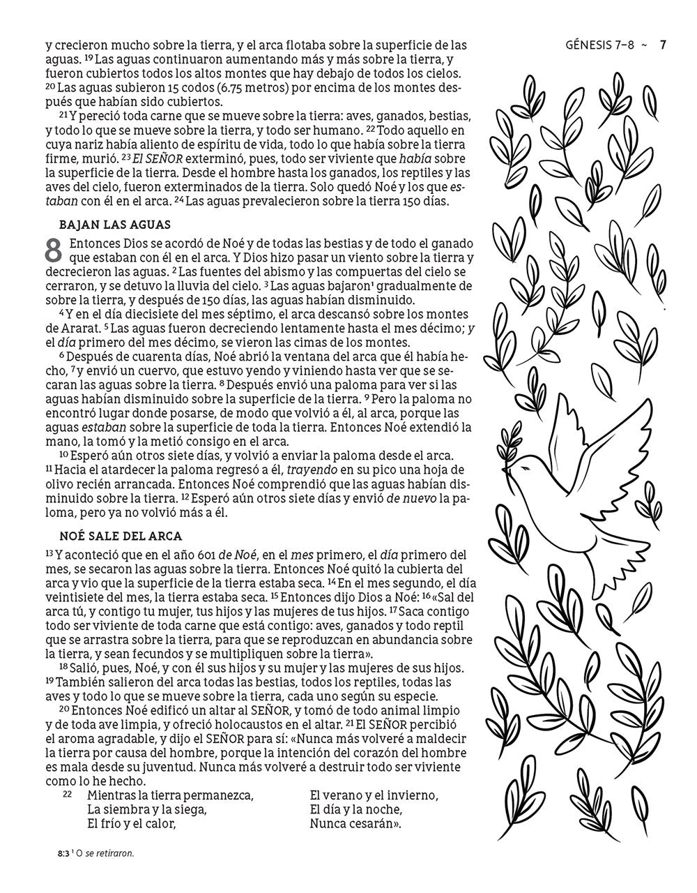 NBLA Biblia Edición Artística Ilustrada, Tapa Dura/Tela, Rosado