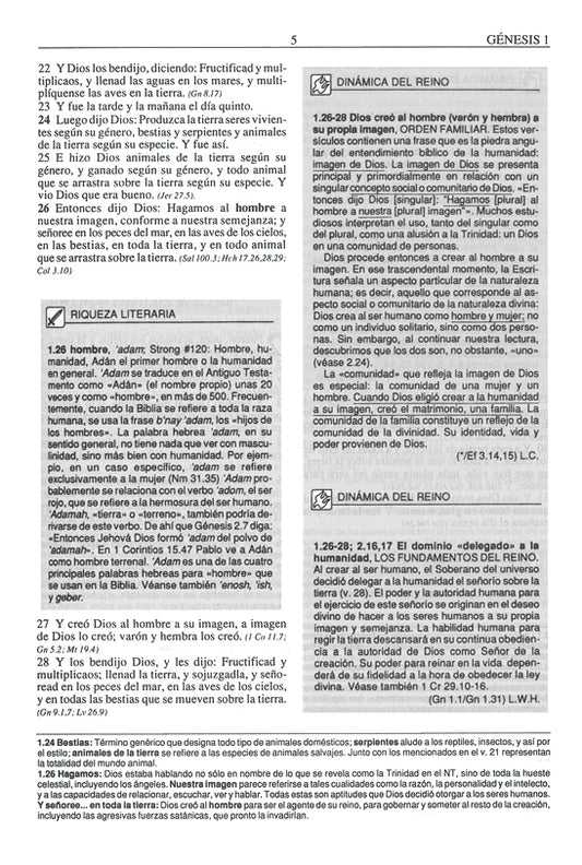 RVR 1960 Biblia Plenitud, Tapa Dura