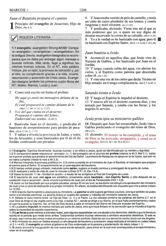 RVR 1960 Biblia Plenitud, Tapa Dura