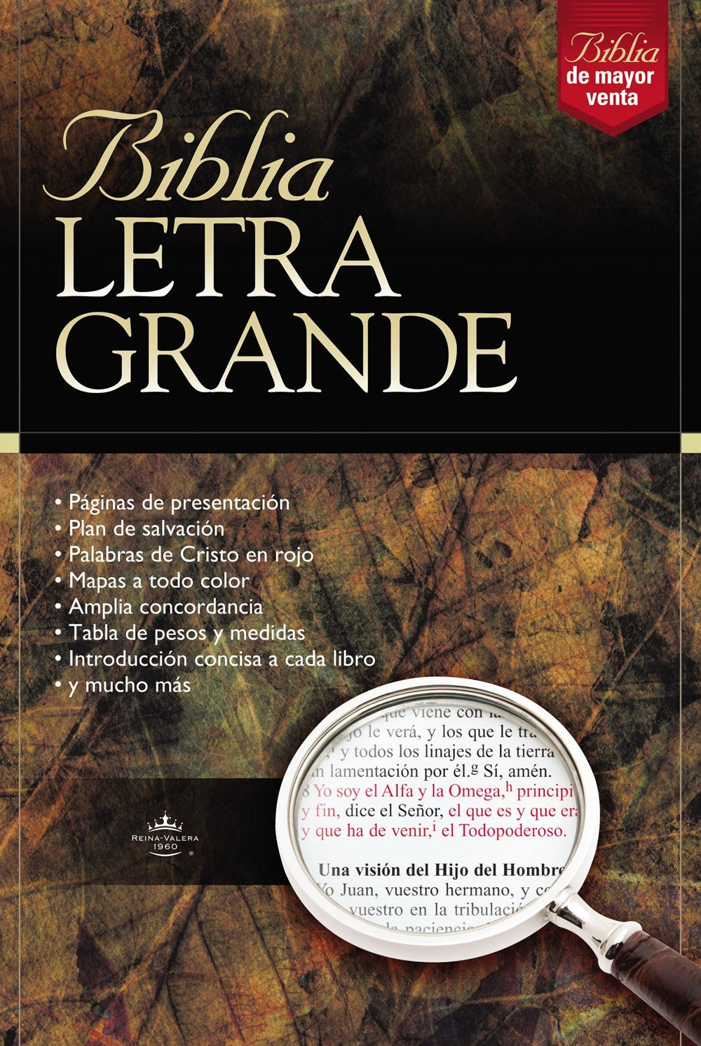 Biblia Reina Valera 1960, Letra grande, Piel especial
