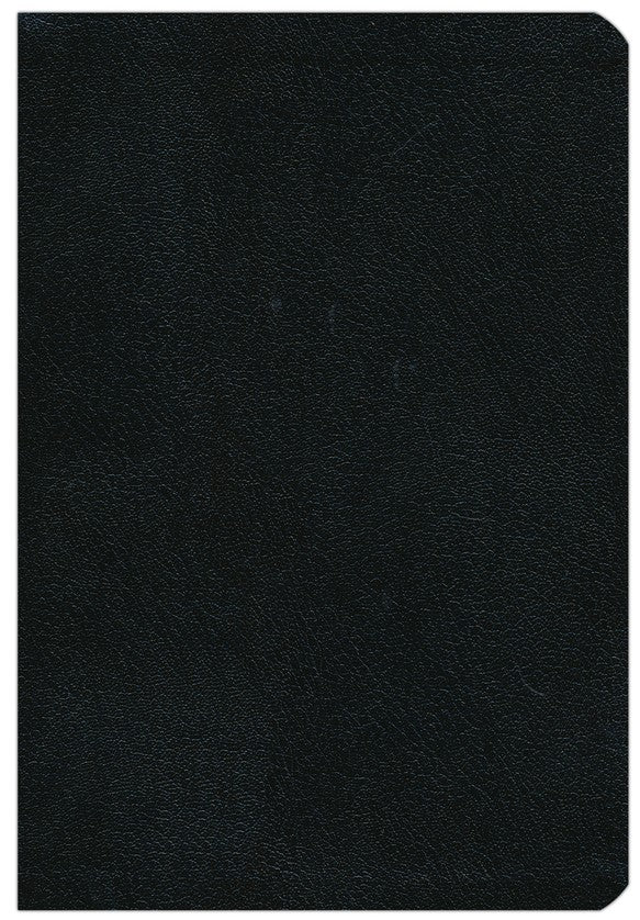 Biblia Reina Valera 1960, Letra grande, Piel especial