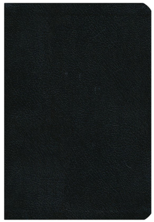 Biblia Reina Valera 1960, Letra grande, Piel especial