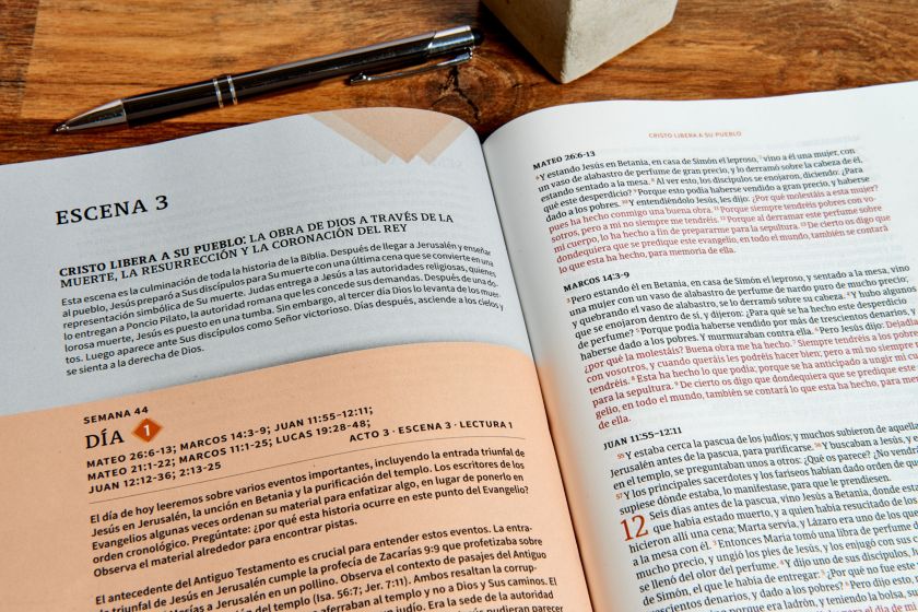 RVR 1960 Biblia cronológica, día por día, marrón símil piel