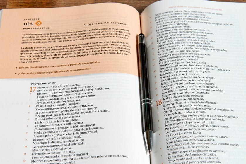 RVR 1960 Biblia cronológica, día por día, marrón símil piel