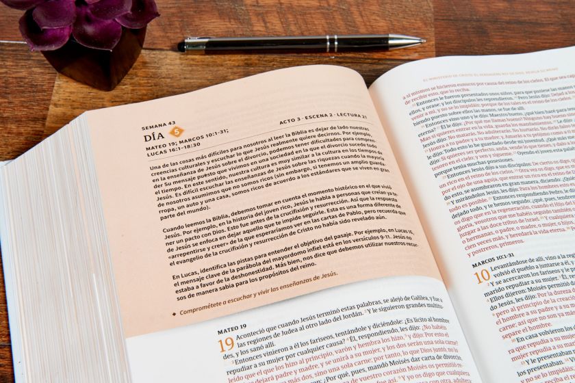 RVR 1960 Biblia cronológica, día por día, marrón símil piel
