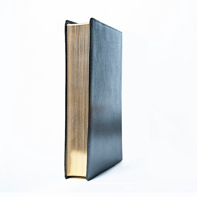 RVR 1960 Biblia del Pescador: Edición liderazgo, negro piel fabricada