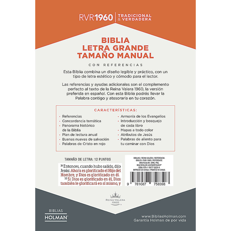 RVR 1960 Biblia Letra Grande Tamaño Manual multicolor, símil piel