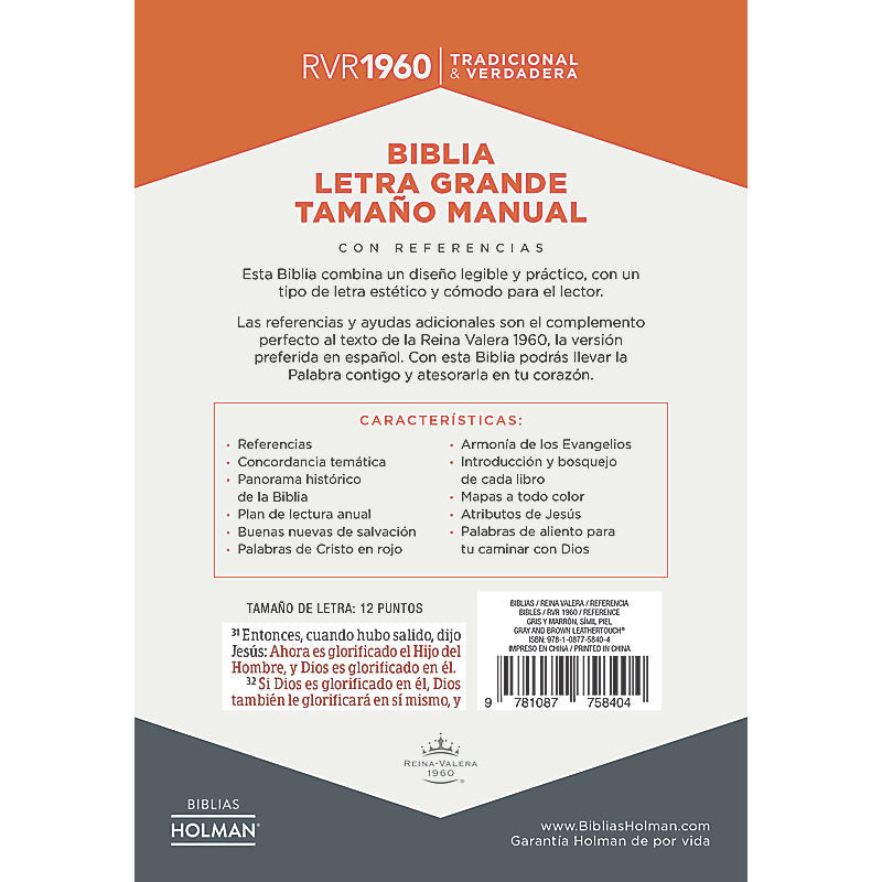 RVR 1960 Biblia Letra Grande Tamaño Manual gris y marrón, símil piel