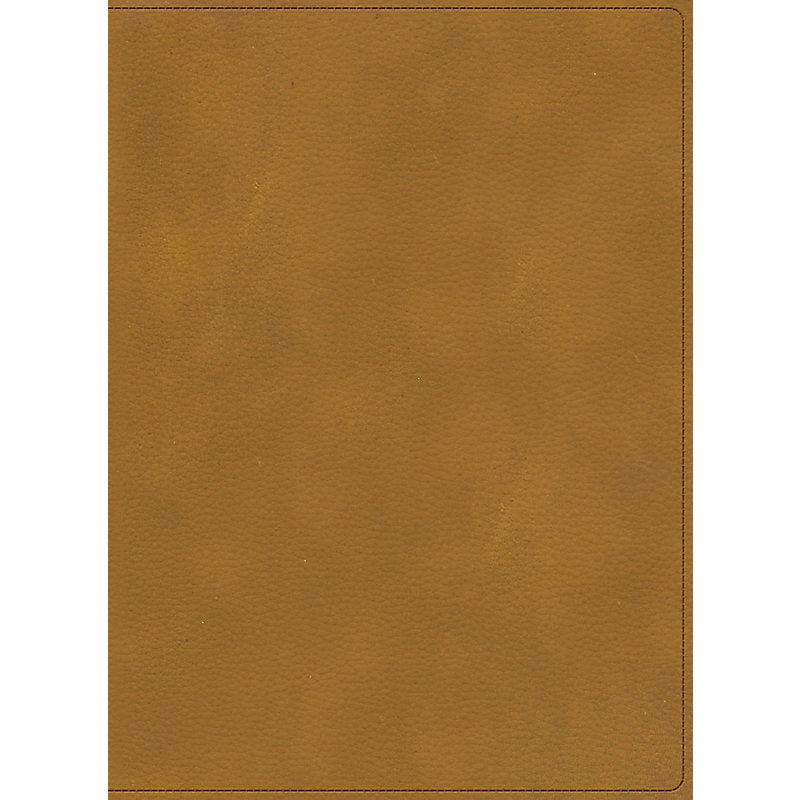 RVR 1960 Biblia ilustrada de la Tierra Santa, café símil piel