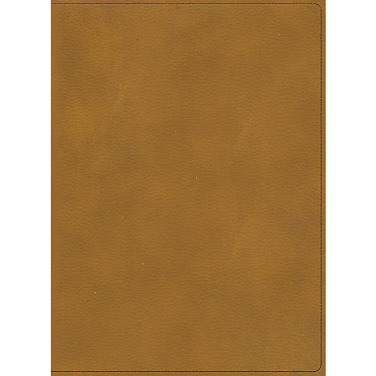 RVR 1960 Biblia ilustrada de la Tierra Santa, café símil piel