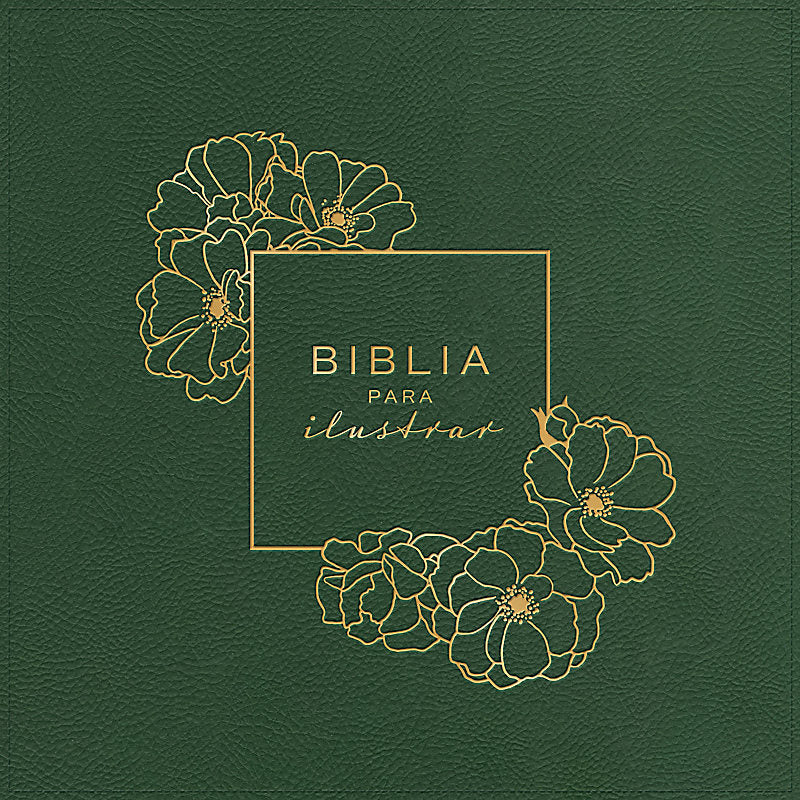 RVR 1960 Biblia para ilustrar, verde símil piel