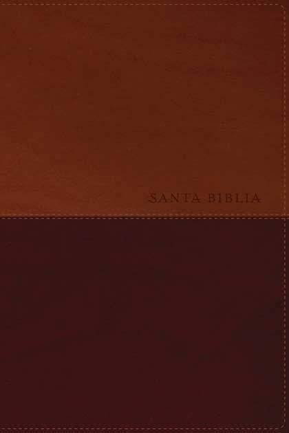 Santa Biblia NTV, Edición personal, letra grande