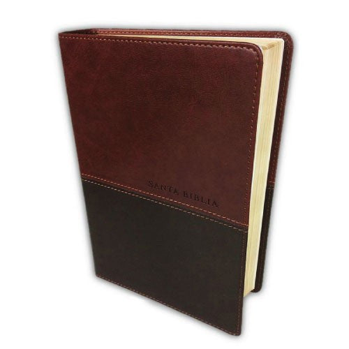 Santa Biblia NTV, Edición personal, letra grande