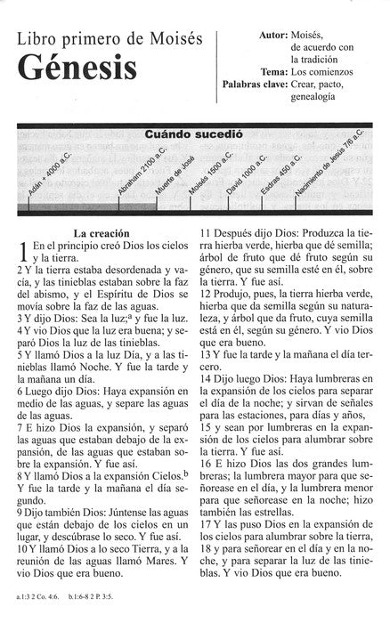 RVR 1960 Letra Grande Tamaño Manual, Imitación Piel Negro con Cierre