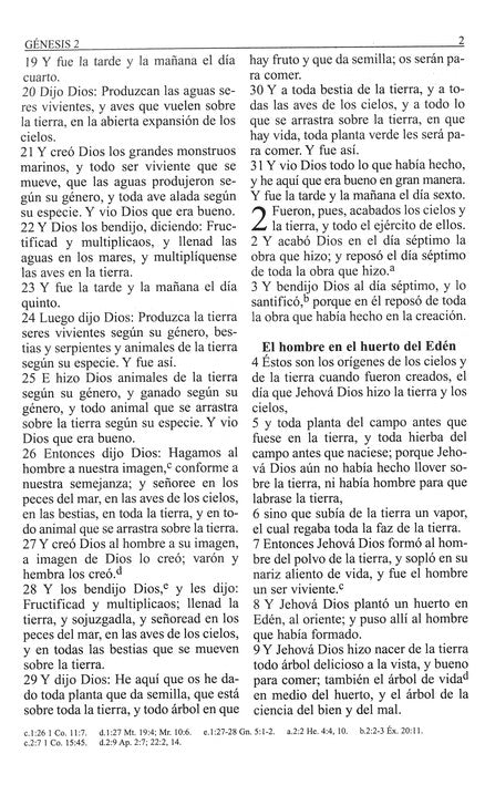 RVR 1960 Letra Grande Tamaño Manual, Imitación Piel Negro con Cierre