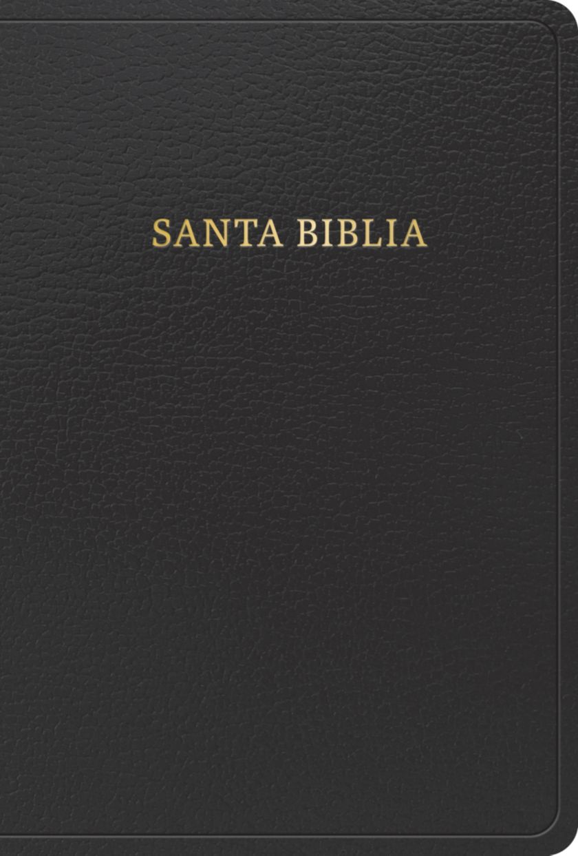 RVR 1960 Biblia letra grande tamaño manual, negro, imitación piel (edición 2023)