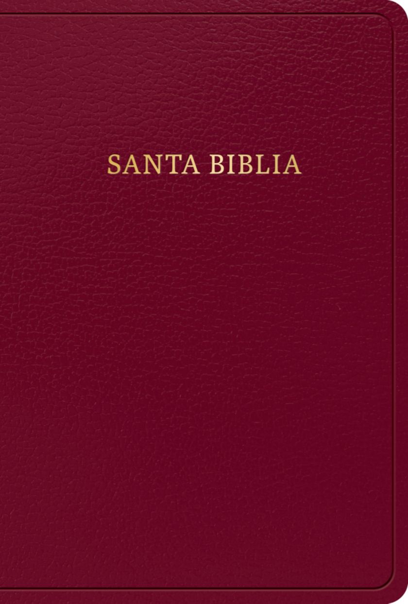 RVR 1960 Biblia Letra Grande Tamaño Manual Borgoña Imitacion piel con indice