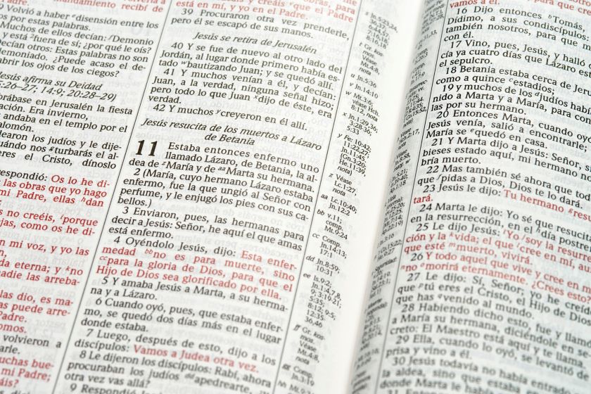 RVR 1960 Biblia de Estudio Scofield, Chocolate imitación piel