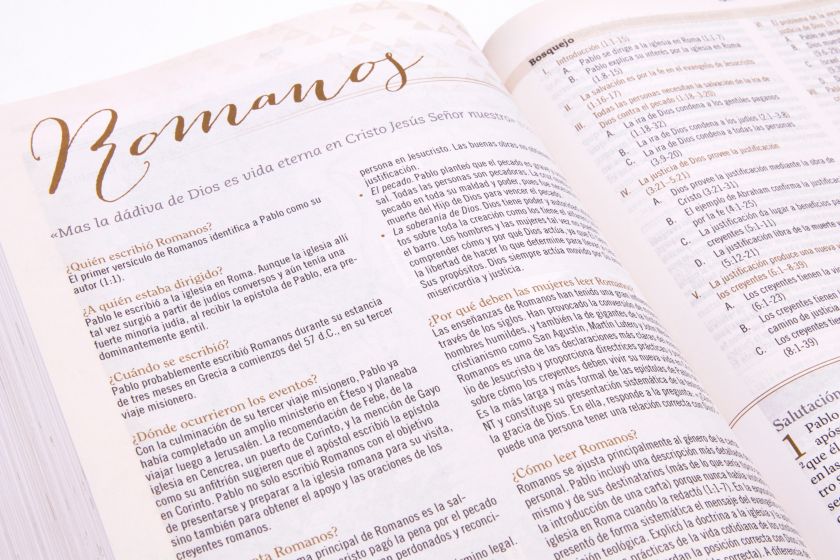 RVR 1960 Biblia de estudio para mujeres, azul floreado tela impresa con índice