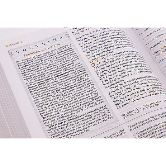 RVR 1960 Biblia de Estudio para Mujeres, café símil piel