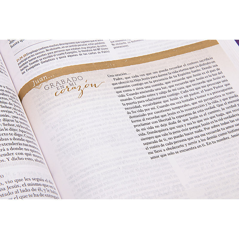 RVR 1960 Biblia de Estudio para Mujeres, café símil piel