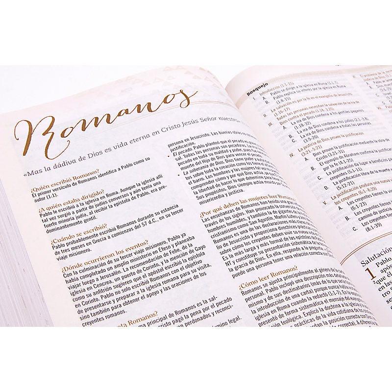RVR 1960 Biblia de Estudio para Mujeres, café símil piel