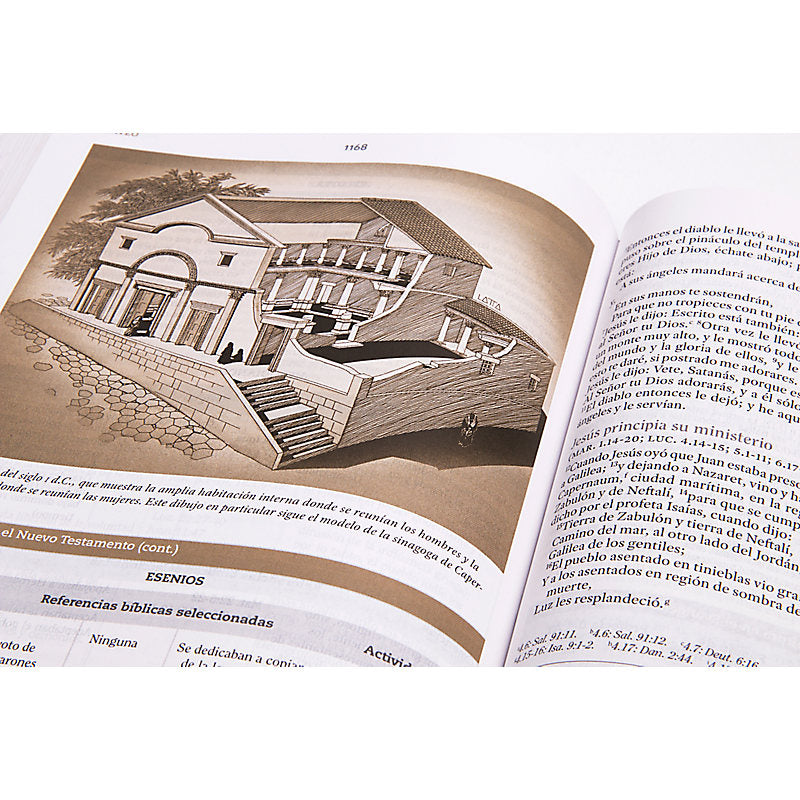 RVR 1960 Biblia de Estudio para Mujeres, café símil piel
