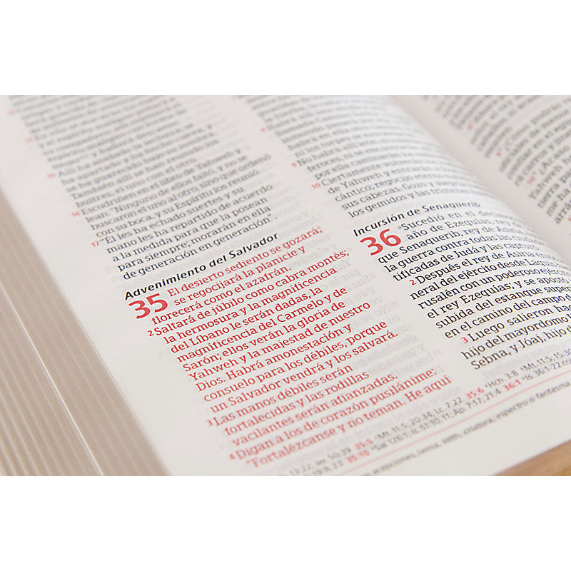 Biblia Peshitta, caoba duotono símil piel
